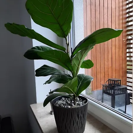 Apartment Wakacyjny Podczele *